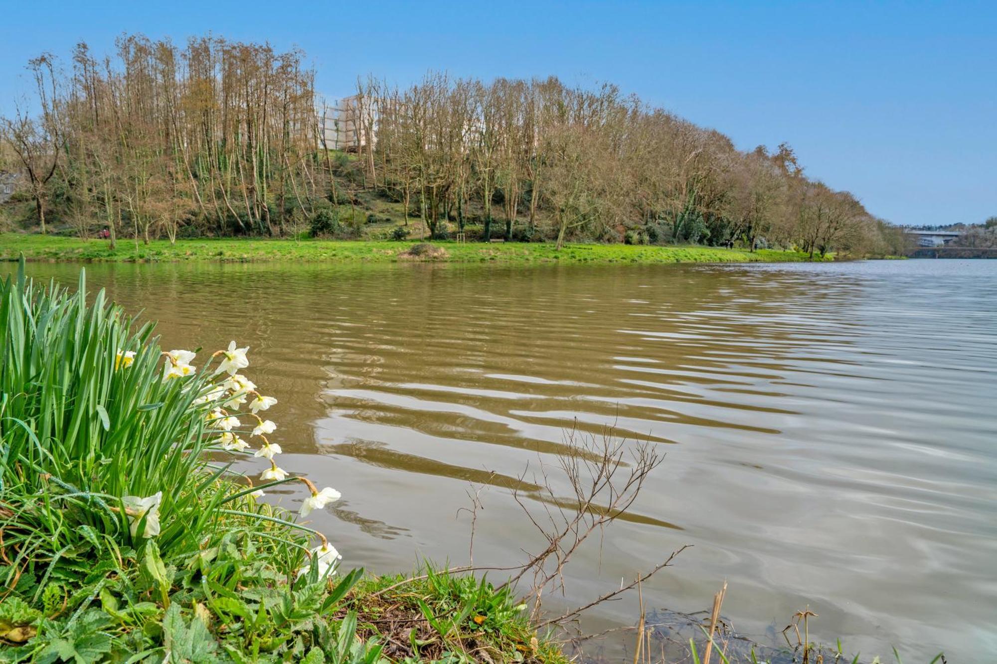Apartamento L'Ancre Bretonne Bohars Exterior foto